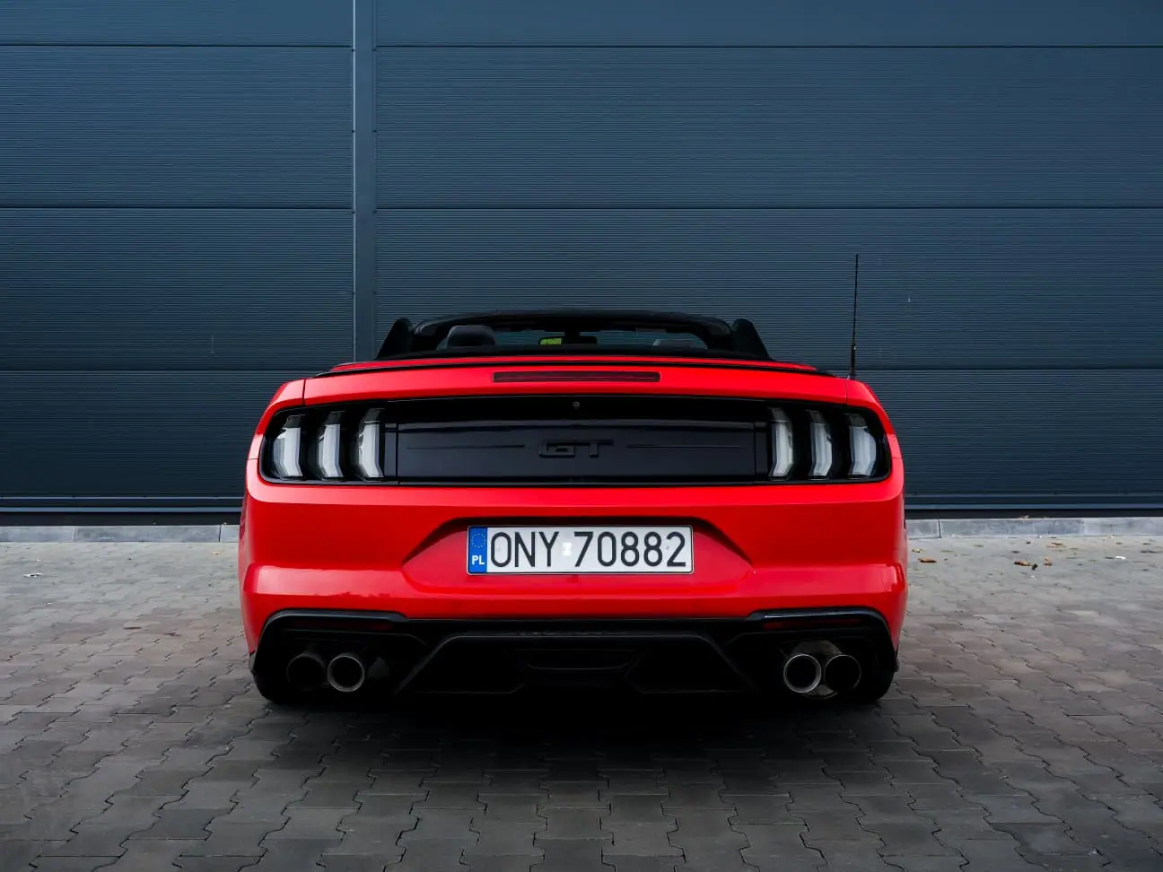 Ford Mustang GT 5.0 V8 Cabrio — zdjęcie 3