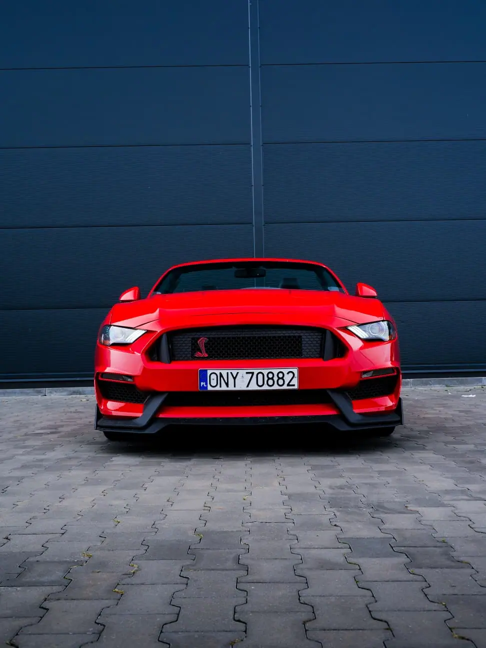Ford Mustang GT 5.0 V8 Cabrio — zdjęcie 5