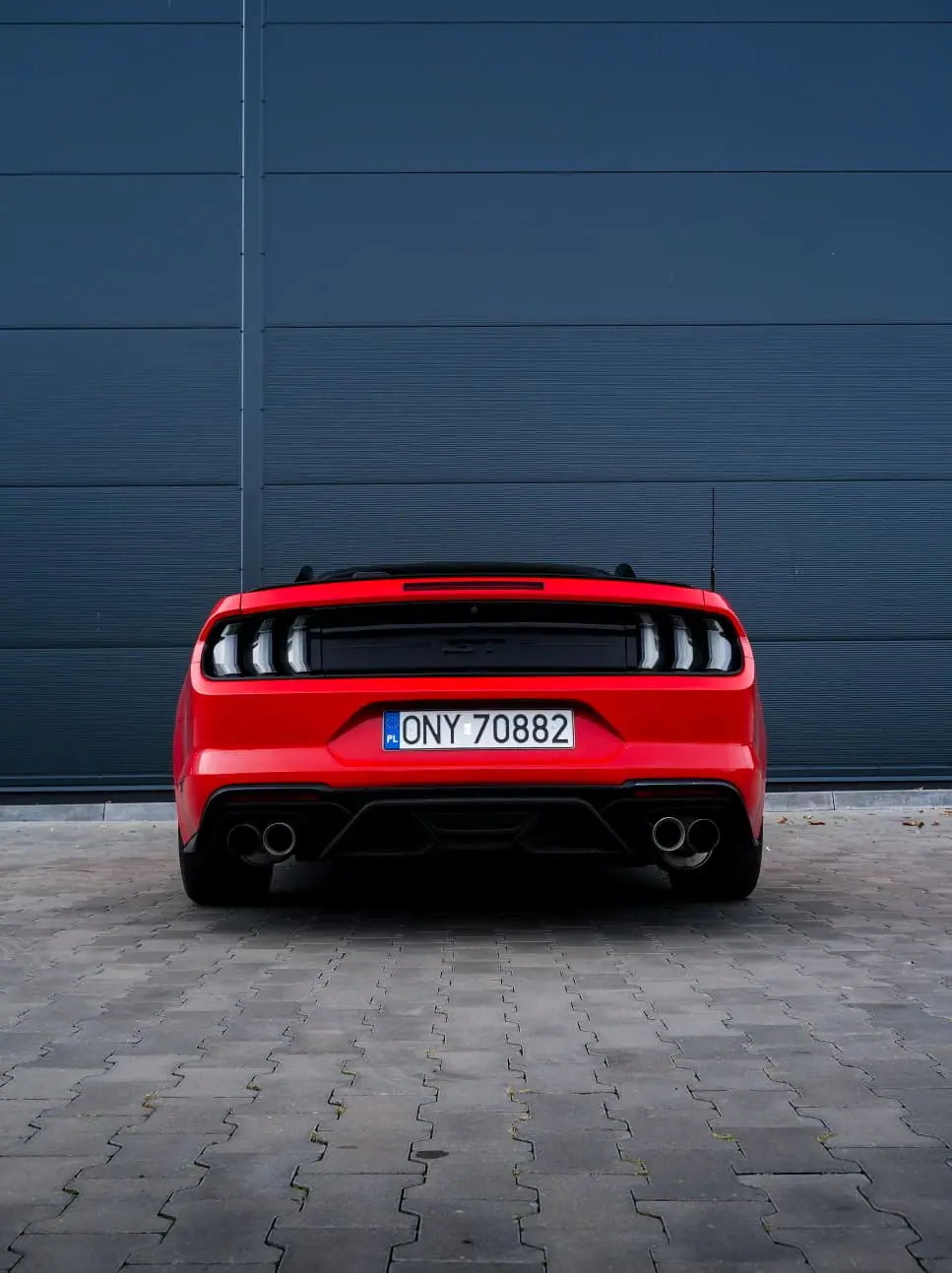 Ford Mustang GT 5.0 V8 Cabrio — zdjęcie 6