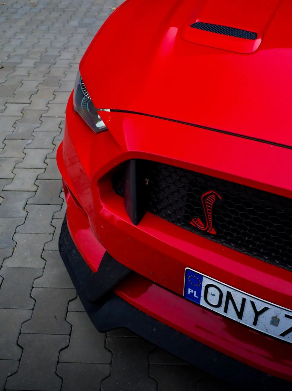 Ford Mustang GT 5.0 V8 Cabrio — zdjęcie 7