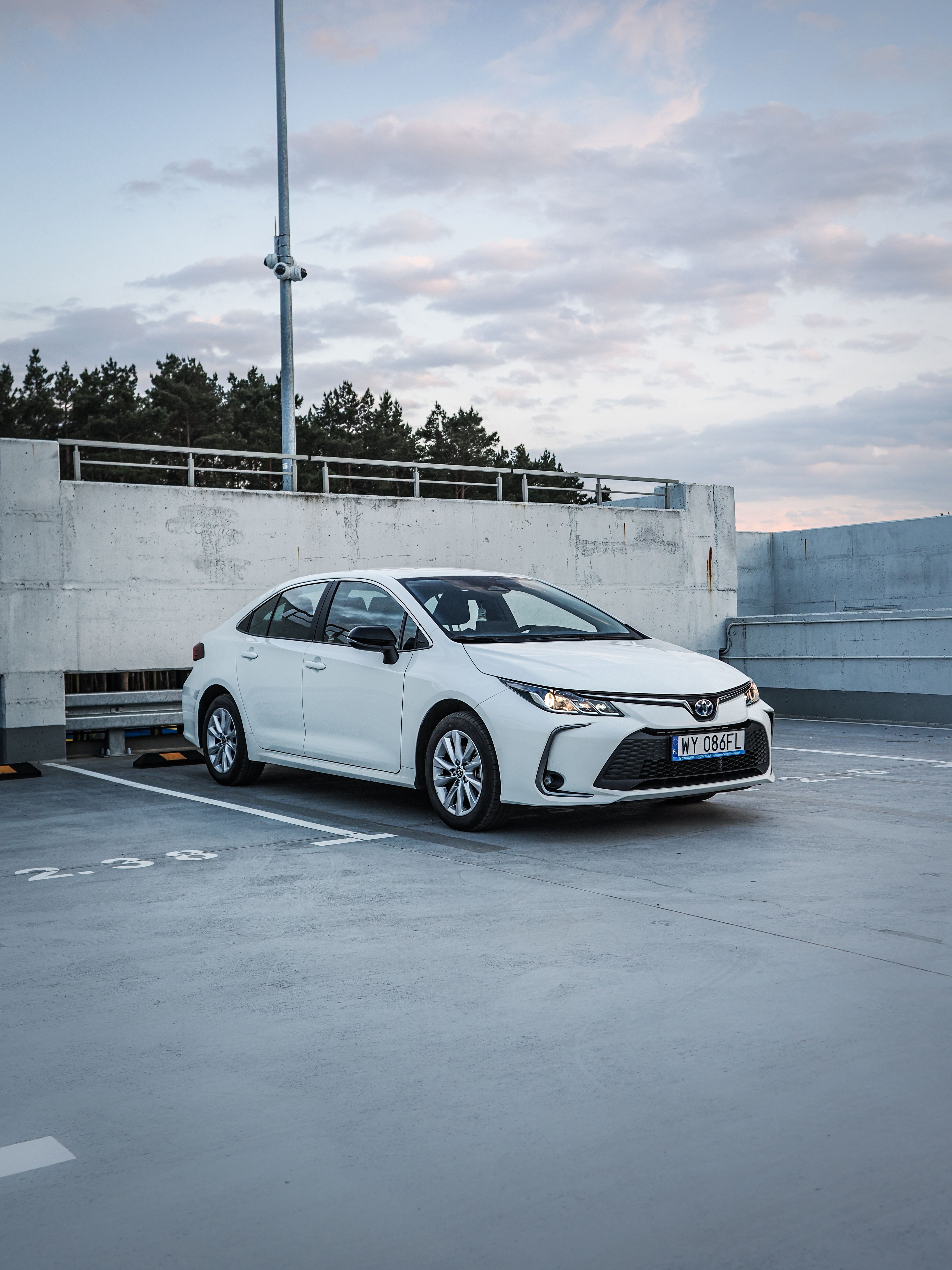 Toyota Corolla — wynajem Toruń